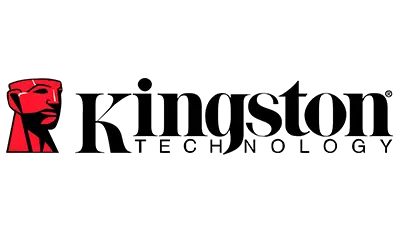 لوگو برند Kingstone